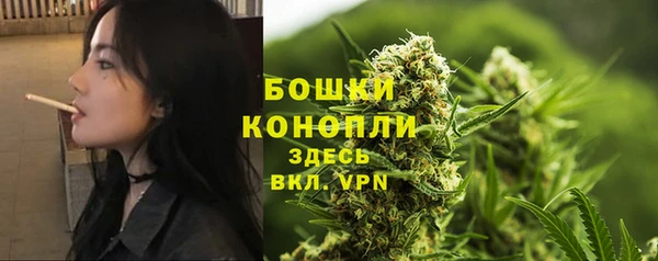 амф Коряжма