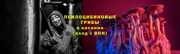 прущий лед Корсаков