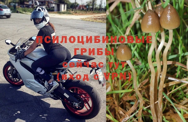 прущий лед Корсаков