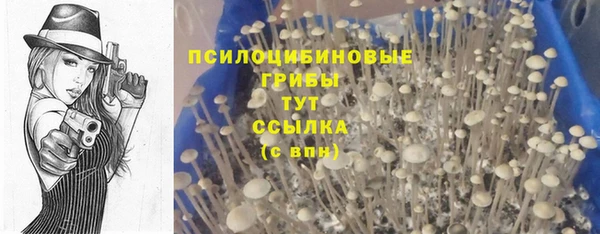 прущий лед Корсаков