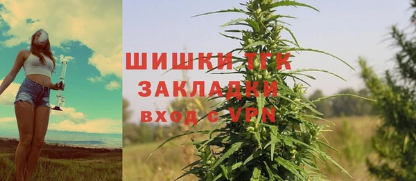 амф Коряжма