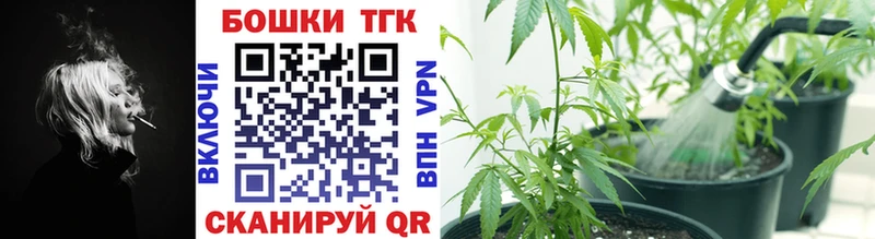 Купить закладки  Новосиль  Бошки марихуана White Widow 